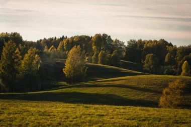 Güneşli bir günde güzel yeşil bir manzara