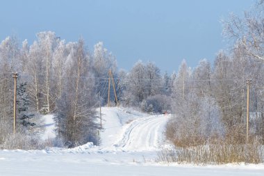 Orman tarafında olan kış ülke yol 
