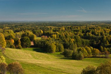 Güneşli bir günde güzel yeşil bir manzara