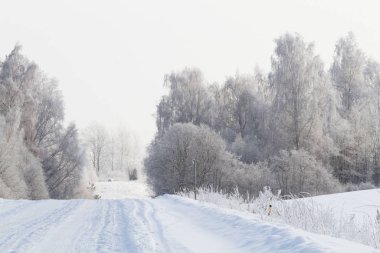 Kırsalda soğuk ve karlı kış