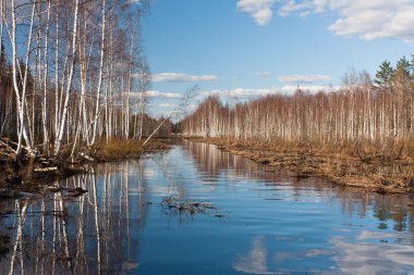 Nehir ve kışın orman manzarası