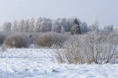 Kırsalda soğuk ve karlı kış