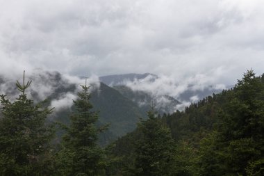 Dağ manzarasının havadan görünüşü