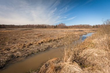 Nehir ve kışın orman manzarası