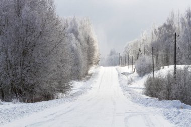 Kış ormanında karlı bir yol
