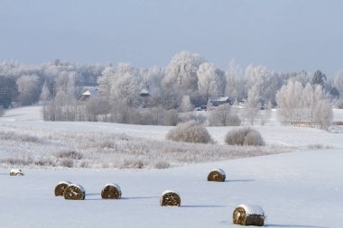 Kırsalda soğuk ve karlı kış