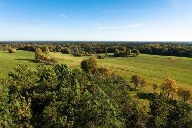 Güneşli bir günde güzel yeşil bir manzara