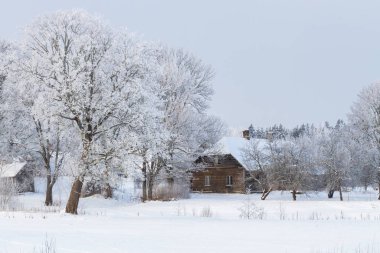 Kışın ahşap bina ve karlı arazi