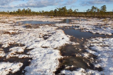 Kışın bulutlu ve buzlu Boglake