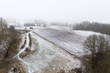 Kış ormanında yol.