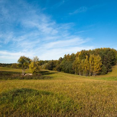 Güneşli bir günde güzel yeşil bir manzara