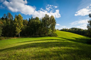 Ağaçlı Meadow Hill manzarası
