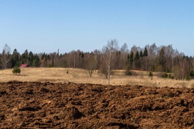 Gündüzleri güzel kuzey manzarası