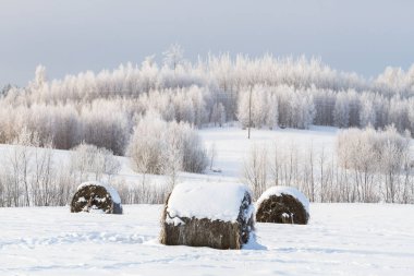 Kış mevsiminde karlı çayırlarda saman balyaları