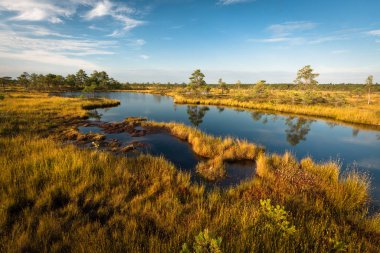 Kıyısı olan güzel bir nehir manzarası