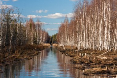 Nehir ve kışın orman manzarası