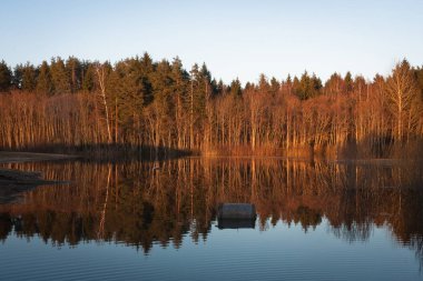 Nehir ve kışın orman manzarası