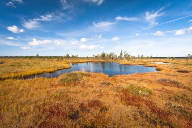Kıyısı olan güzel bir nehir manzarası
