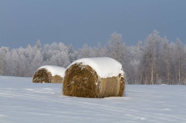 Kırsalda soğuk ve karlı kış