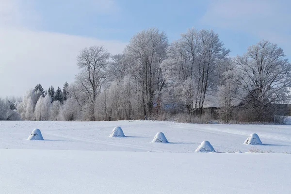 Kırsalda soğuk ve karlı kış