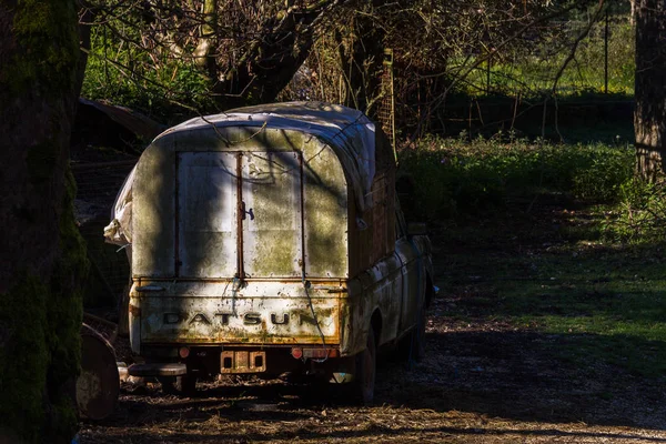 Ormandaki eski tahta fıçı.