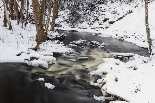 Pequeño Río Bosque Nevado — Foto de Stock