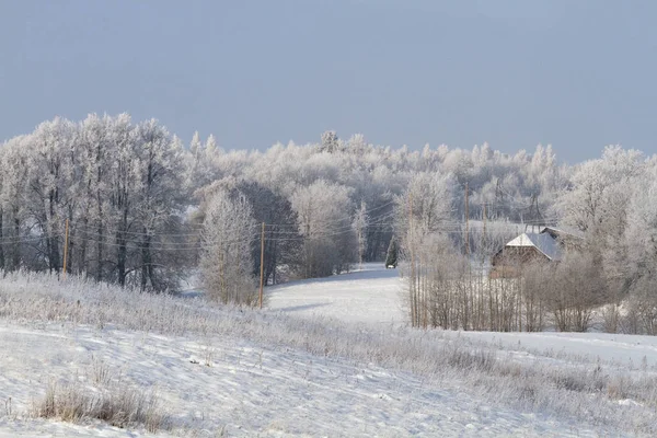 Mroźna Śnieżna Zima Wsi — Zdjęcie stockowe