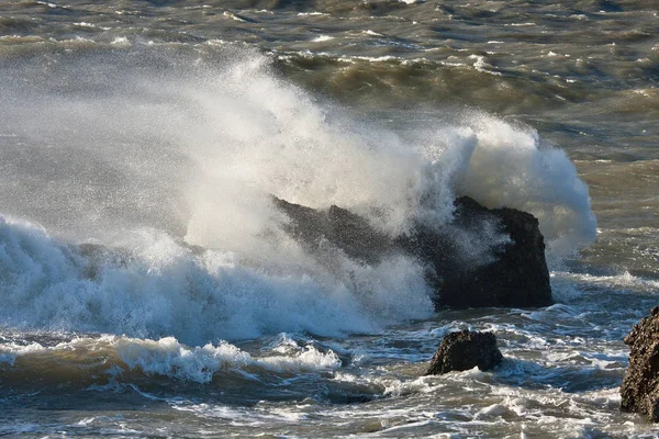 Baltık deniz kıyılarında dalgalar