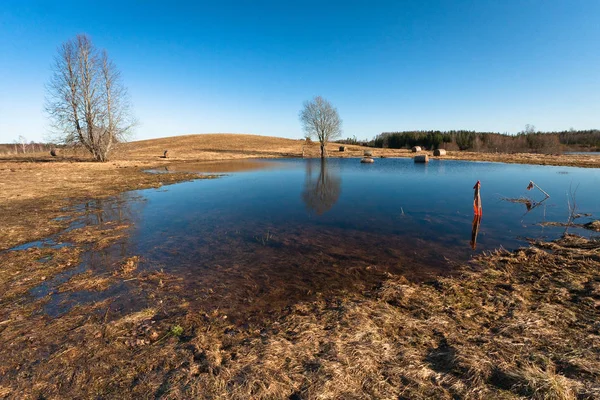 Winter Landscape River Coast Forest — Stock Photo, Image