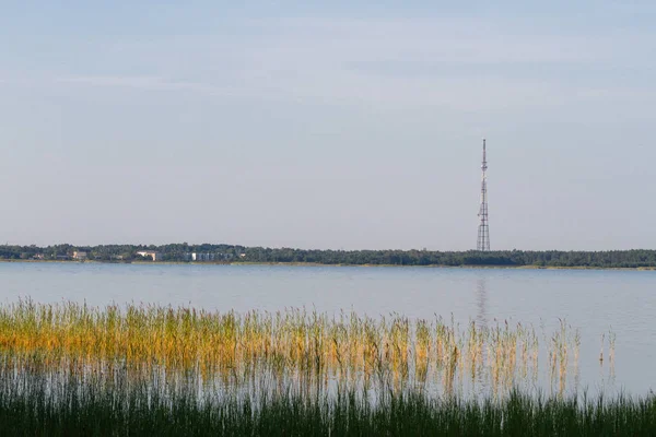 Güneşli bir günde güzel nehir kıyısında