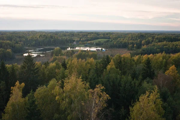 Güneşli bir günde güzel yeşil bir manzara