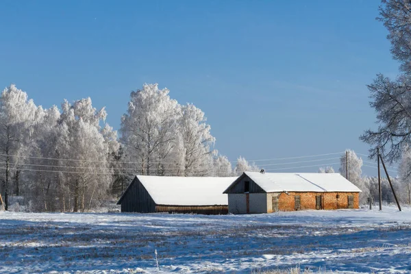 Mroźna Śnieżna Zima Wsi — Zdjęcie stockowe