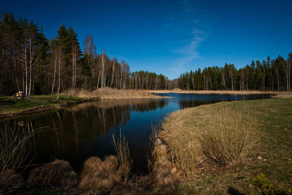 beautiful lake in the forest.