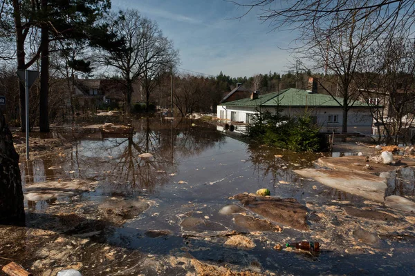 Letonya köyü evlerle dolup taşıyor