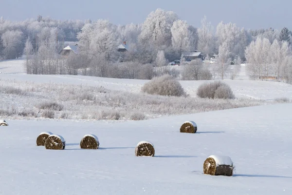 Kırsalda soğuk ve karlı kış