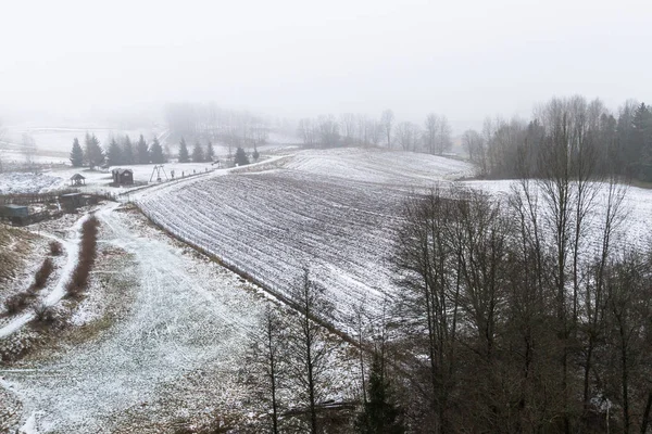 Karla kaplı ağaçlarla kaplı kış manzarası