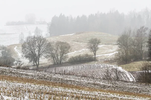 Karla kaplı ağaçlarla kaplı kış manzarası