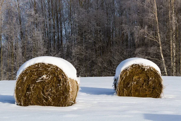Kırsalda soğuk ve karlı kış