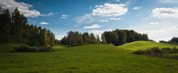 Ağaçlı Meadow Hill Manzarası — Stok fotoğraf