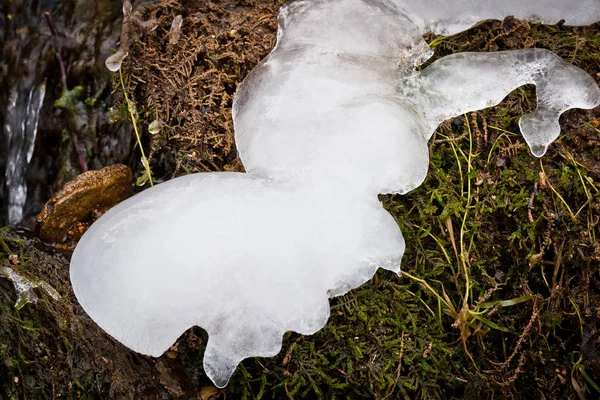 Kall Vattendrag Vinterskog — Stockfoto