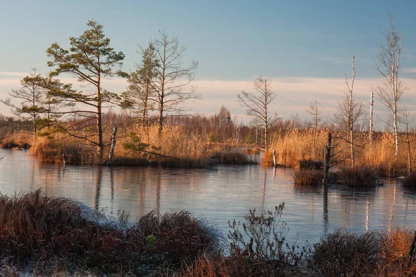 Bahar mevsiminde güneşli bir günde nehir kıyısı