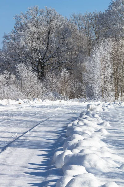 yol iz kar güneş ışığı kış manzara güzel golf kar yağıyordu güneş parlamayı doğa