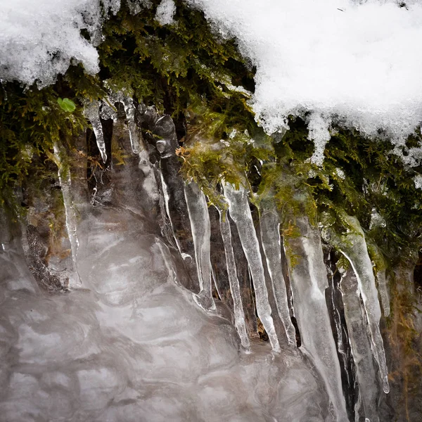 冬の森の水の流れに冷たい氷 — ストック写真
