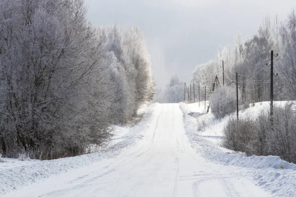Kış ormanında karlı bir yol