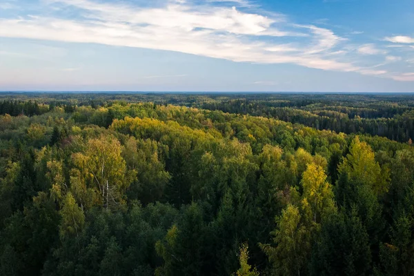 Güneşli bir günde güzel yeşil bir manzara