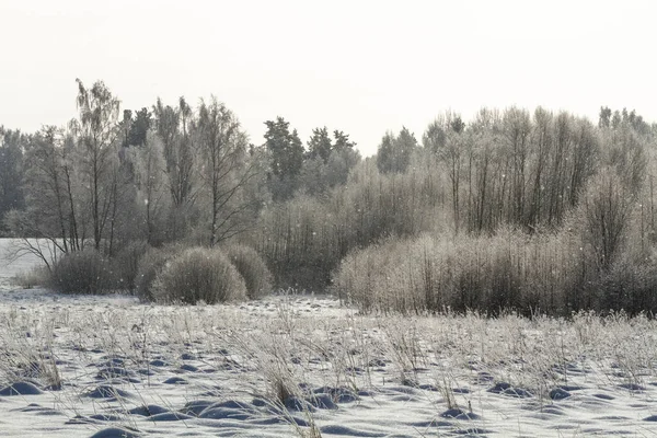 Kar ve ağaçlarla kaplı kış manzarası