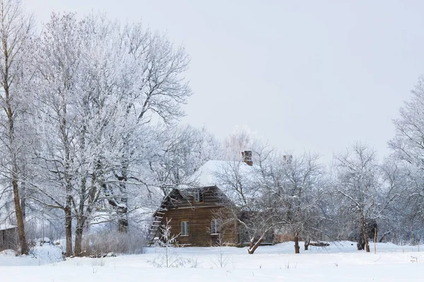 Natural Landscape Park Ground Trees Lot Snow Beautiful Cold Winter — Stock Photo, Image