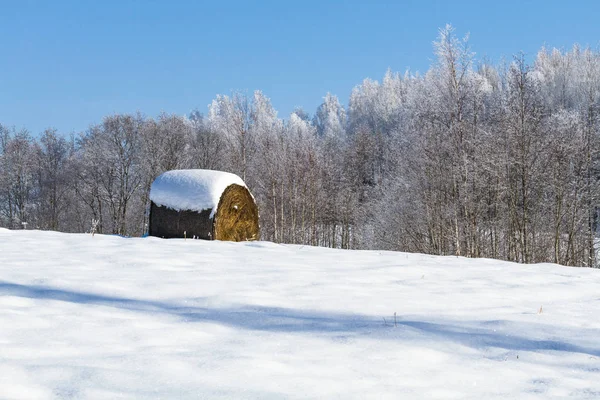 Krajobraz Zimowy Śniegu — Zdjęcie stockowe