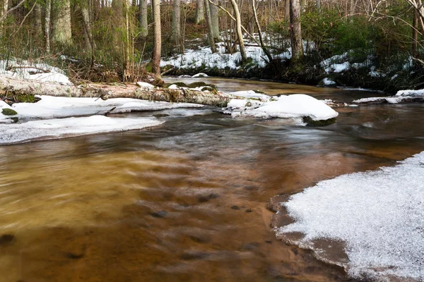 Pequeno Rio Floresta Inverno — Fotografia de Stock