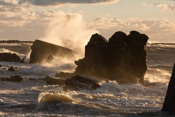 波罗的海沿岸的海浪 — 图库照片